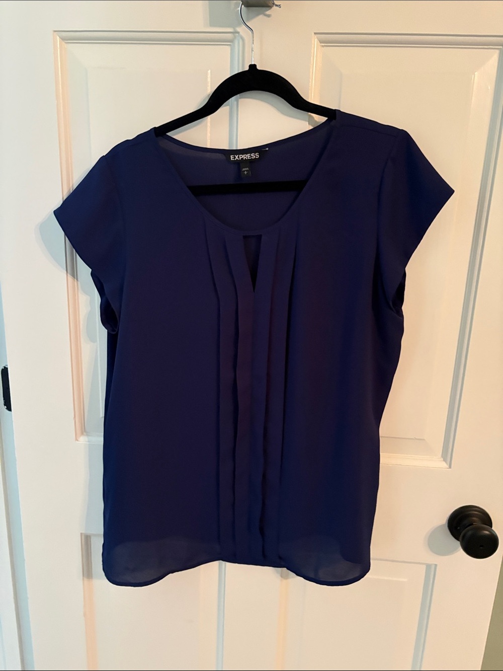 Express Women’s Blue Pleated Cap-Sleeve Blouse
